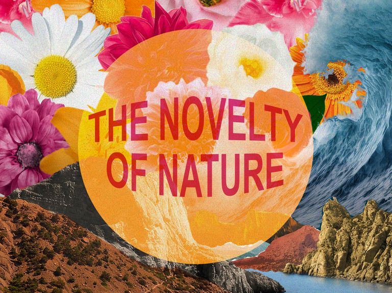 the novelty of nature