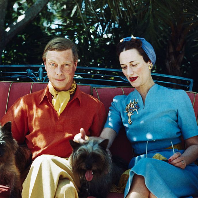 the duke and duchess of windsor seated outdoors with two small dogs photo by bettmann via getty images