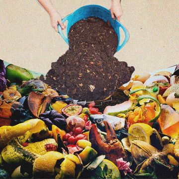 illustration of compost pile